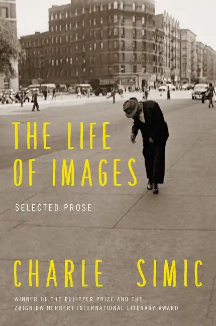 The Life of Images: Selected Prose - Paperback