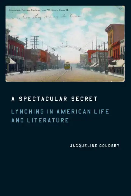 A Spectacular Secret: Lynching in American Life and Literature - Paperback