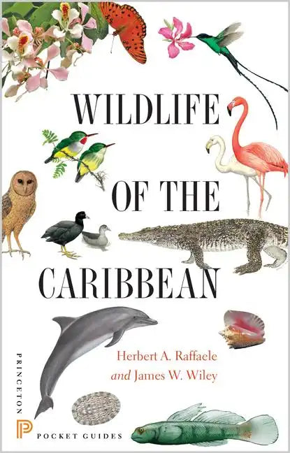 Wildlife of the Caribbean - Paperback