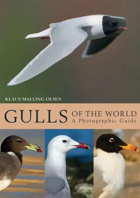 Gulls of the World: A Photographic Guide - Hardcover