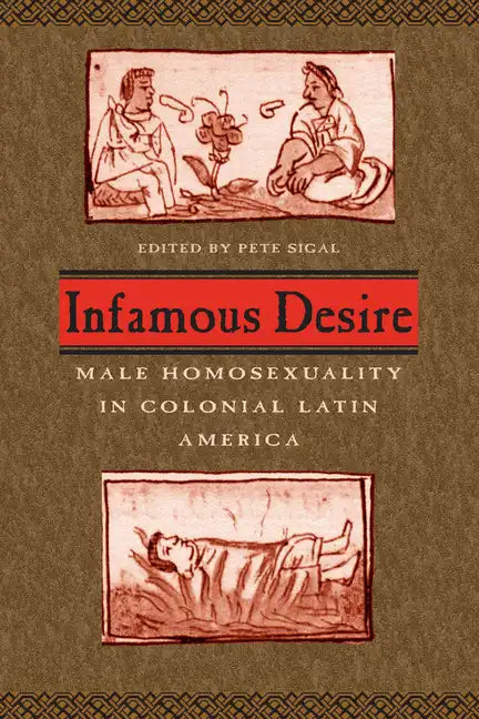 Infamous Desire: Male Homosexuality in Colonial Latin America - Paperback