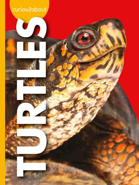 Curious about Turtles - Library Binding