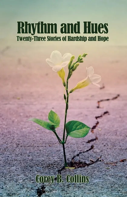 Rhythm and Hues: Twenty-Three Stories of Hardship and Hope - Paperback