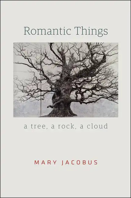 Romantic Things: A Tree, a Rock, a Cloud - Paperback