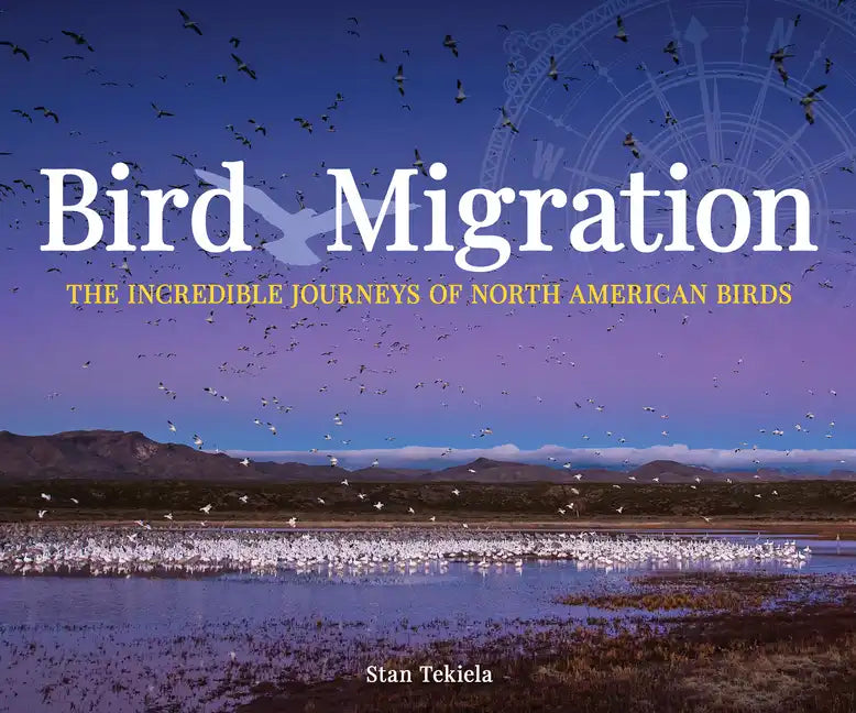 Bird Migration: The Incredible Journeys of North American Birds - Paperback
