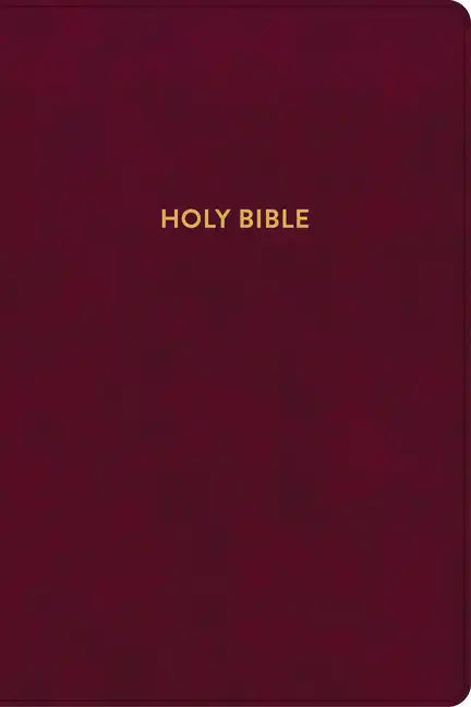 KJV Rainbow Study Bible, Burgundy Leathertouch - Imitation Leather
