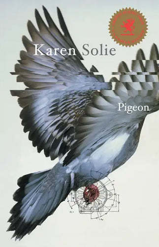 Pigeon - Paperback
