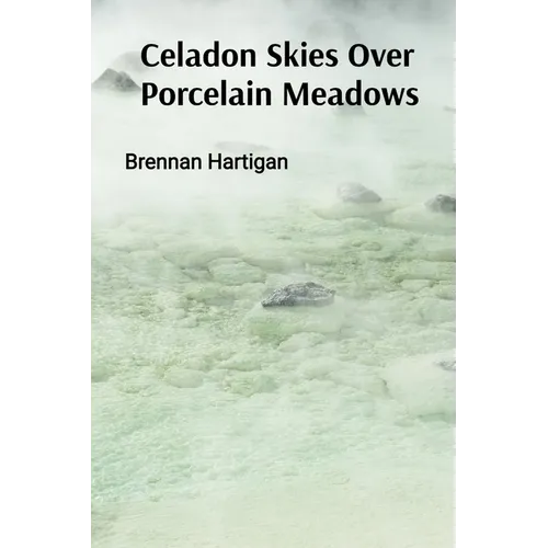 Celadon Skies Over Porcelain Meadows: A Ceramicist's Odyssey Through Form, Texture, and Translucence - Paperback