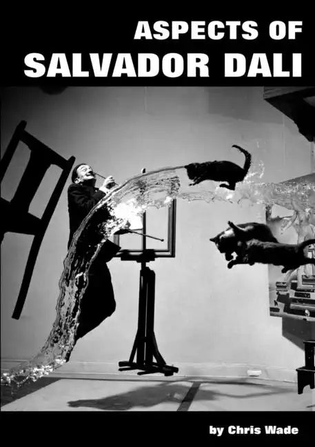 Aspects of Salvador Dali - Paperback