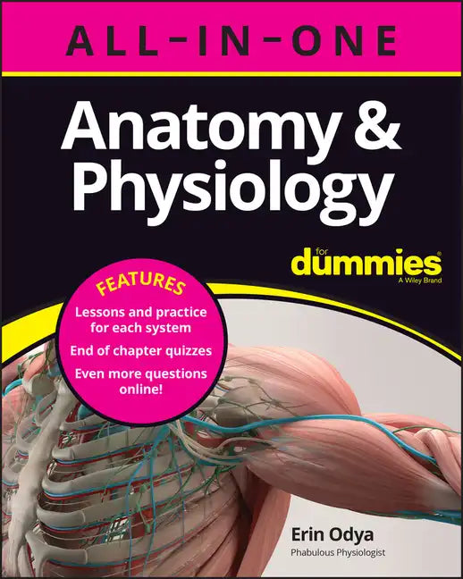 Anatomy & Physiology All-In-One for Dummies (+ Chapter Quizzes Online) - Paperback