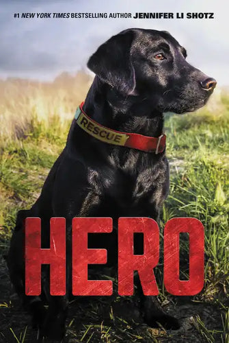 Hero - Paperback