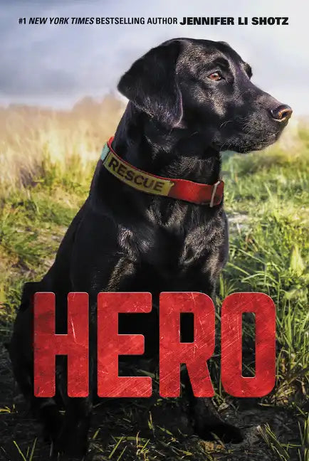 Hero - Paperback
