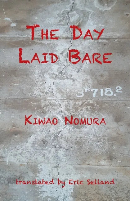 The Day Laid Bare - Paperback