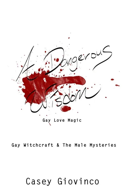 A Dangerous Wisdom: Gay Love Magic - Paperback