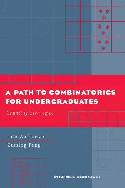 A Path to Combinatorics for Undergraduates: Counting Strategies - Paperback