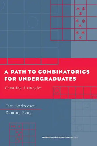 A Path to Combinatorics for Undergraduates: Counting Strategies - Paperback