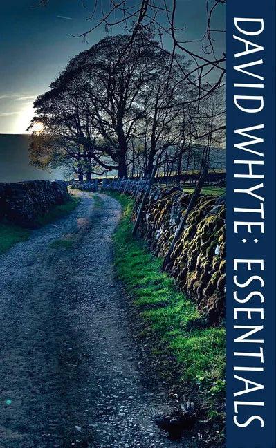 David Whyte Essentials - Paperback