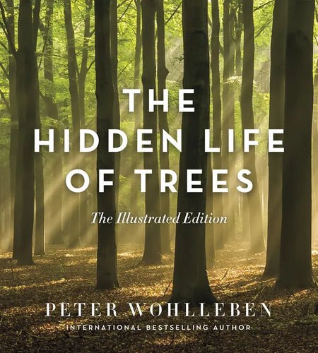 The Hidden Life of Trees: The Illustrated Edition - Hardcover
