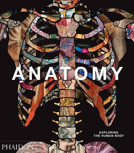 Anatomy: Exploring the Human Body - Hardcover