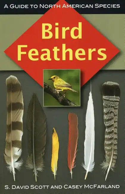 Bird Feathers: A Guide to North American Species - Paperback