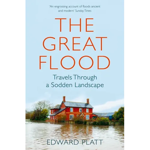 The Great Flood: Travels Through a Sodden Landscape - Paperback