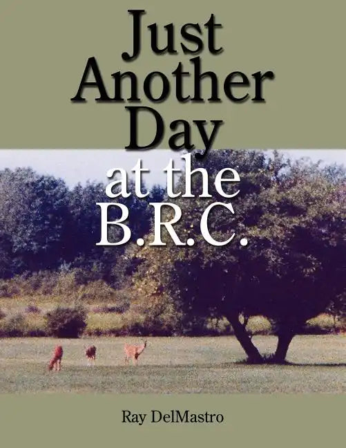Just Another Day at the B.R.C. - Paperback