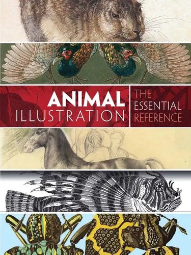 Animal Illustration: The Essential Reference - Paperback
