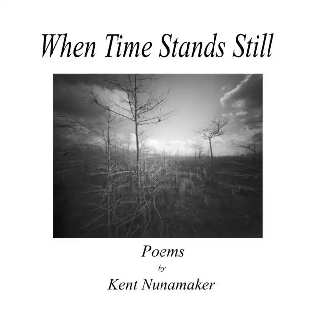 When Time Stands Still - Paperback