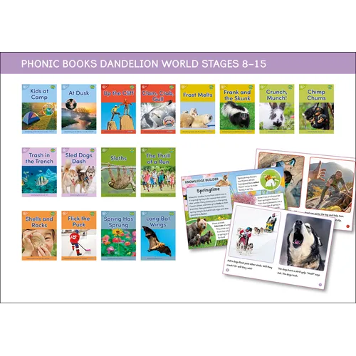 Phonic Books Dandelion World Stages 8-15 (Words with Four Sounds CVCC) - Paperback