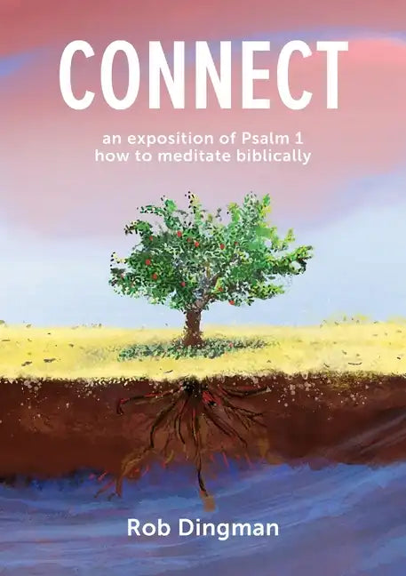Connect - Paperback