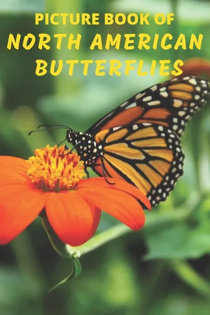 Picture Book of North American Butterflies: A Gift/Present Book for Alzheimer's Patients, Seniors with Dementia And Adults Facing Life's Challenges - - Paperback
