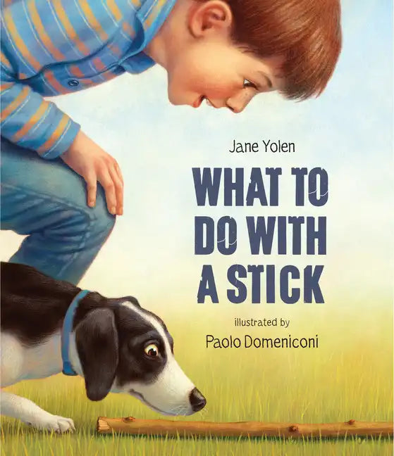 What to Do with a Stick - Hardcover
