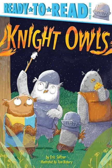 Knight Owls: Ready-To-Read Pre-Level 1 - Paperback