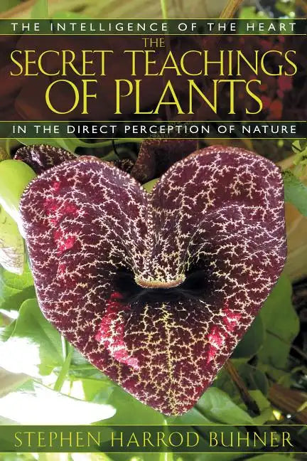 The Secret Teachings of Plants: The Intelligence of the Heart in the Direct Perception of Nature - Paperback