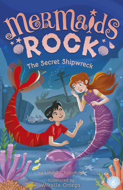 The Secret Shipwreck - Paperback