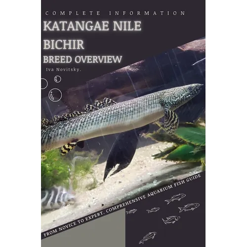Katangae Nile Bichir: From Novice to Expert. Comprehensive Aquarium Fish Guide - Paperback