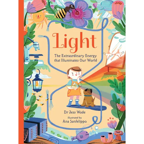 Light: The Extraordinary Energy That Illuminates Our World - Hardcover