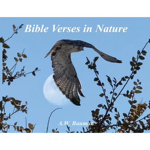 Bible Verses in Nature - Paperback