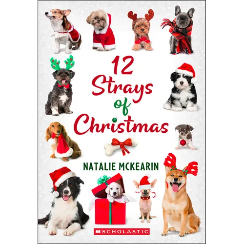 12 Strays of Christmas: A Wish Novel - Paperback