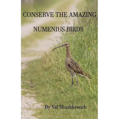 Conserve the Amazing Numenius Birds - Paperback