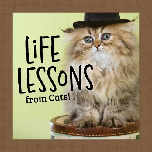Life Lessons from Cats! - Hardcover