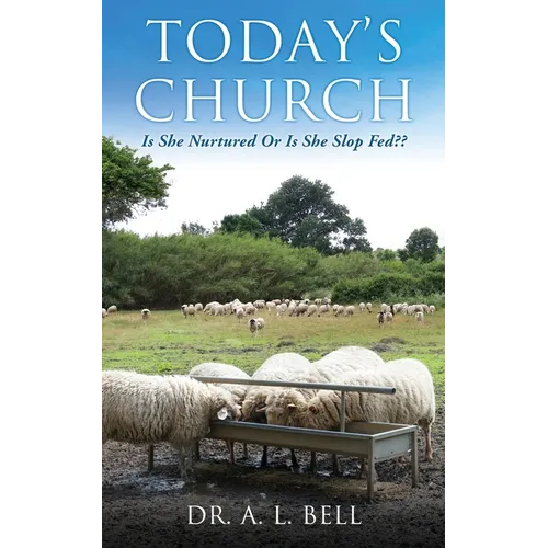 Today's Church Is She Nurtured Or Is She Slop Fed - Paperback