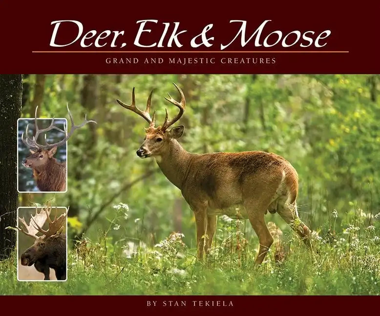 Deer, Elk & Moose: Grand and Majestic Creatures - Paperback