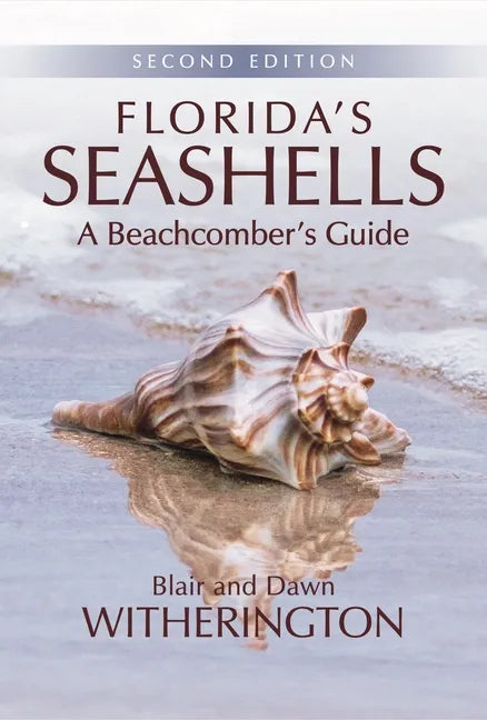Florida's Seashells: A Beachcomber's Guide - Paperback
