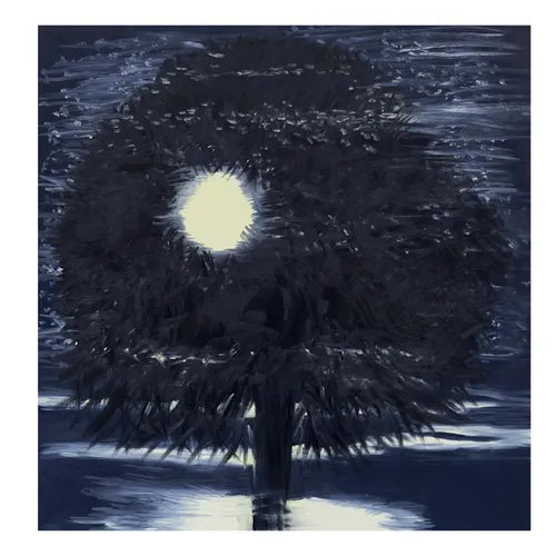 Ann Craven: Night - Hardcover