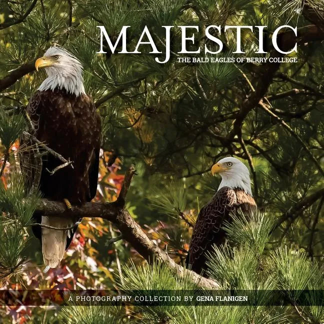 Majestic: The Bald Eagles of Berry College - Paperback