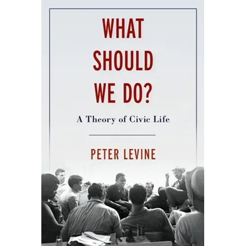 What Should We Do?: A Theory of Civic Life - Hardcover