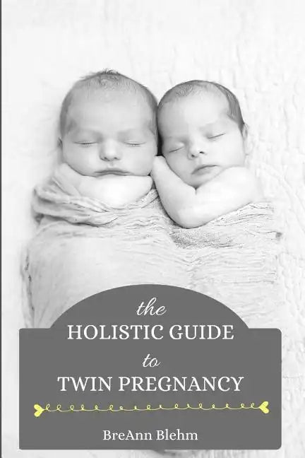 The Holistic Guide to Twin Pregnancy - Paperback