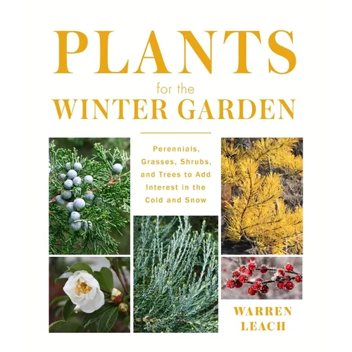 Plants for the Winter Garden: Perennials, Grasses, Shrubs, and Trees to Add Interest in the Cold and Snow - Hardcover