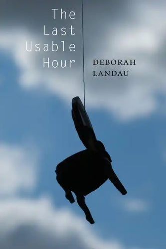 The Last Usable Hour - Paperback